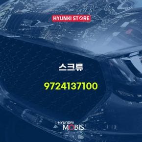 스크류 (9724137100)