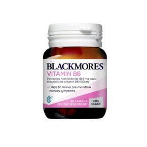 비타민 B6 100mg 40정