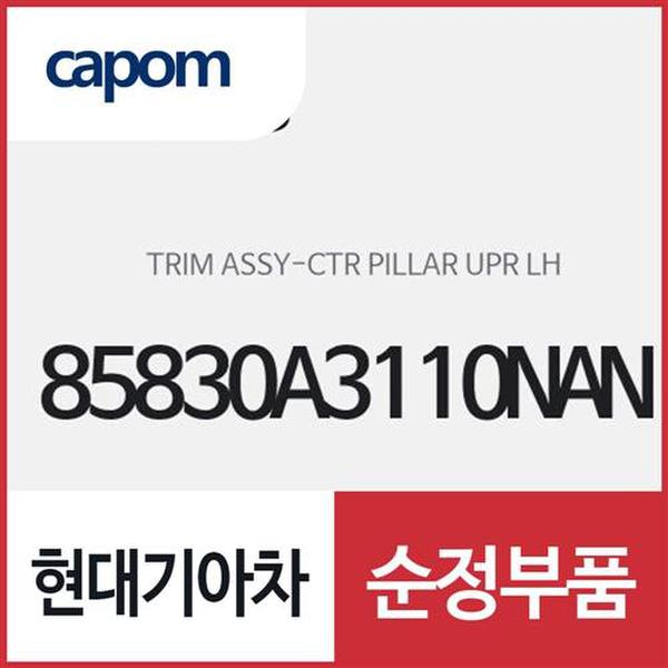 센터 필러 상부 트림,운전석쪽,좌측 (85830A3110NAN) 레이