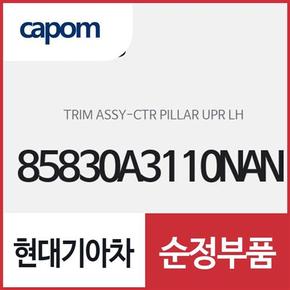 센터 필러 상부 트림,운전석쪽,좌측 (85830A3110NAN) 레이