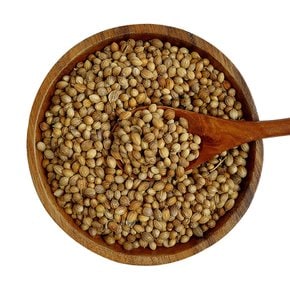 헬로우그린 고수씨 50g(통) 코리앤더 씨드