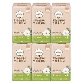 생리대 좋은느낌 유기농 팬티라이너 일반 40P X 6팩