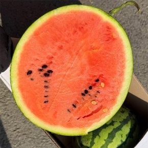 늘푸른 국내산 하우스수박 4.5kg