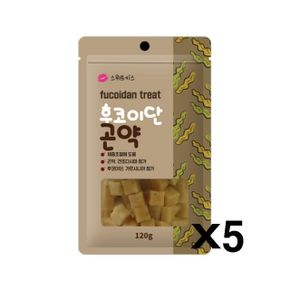 애견 트릿간식 후코이단 곤약 120g X5 칭찬 체중조절 (WD99177)