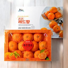 제주푸드마씸 현가원 서귀포 레드향 5kg (15-20과, 실중량)