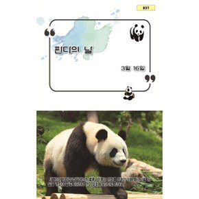 판다의 날