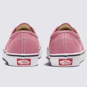 VANS 반스 컬러 띠어리 Authentic 어센틱 VN0A2Z3ZC3S1