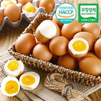  [무항생제/HACCP]웰굿 간이배어있는 반숙계란 반숙란 30구(1판)