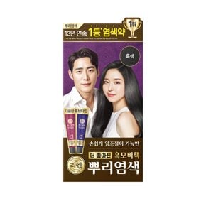 리엔 흑모비책 뿌리염색 100G (흑색)