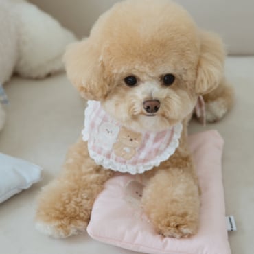 꼴레트멍멍 베비 강아지케이프 2color
