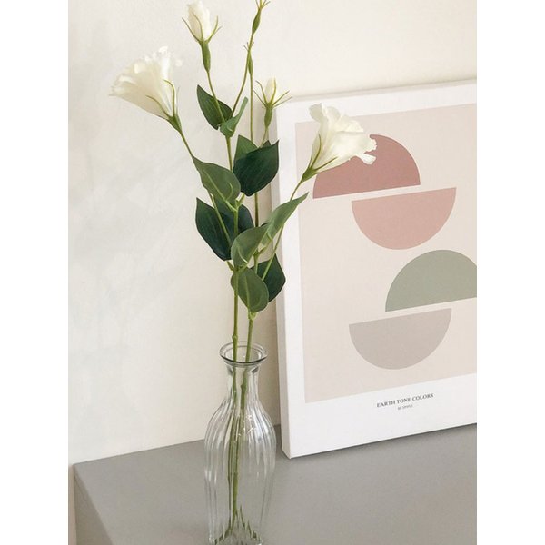 리시안셔스 조화