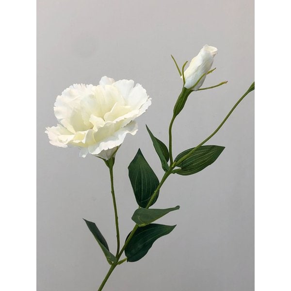 리시안셔스 조화