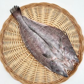 쫀득 고소 국내산 반건조 민어 1미