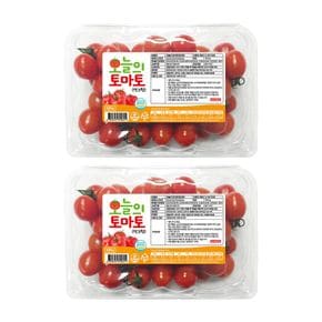 [오늘의토마토] HACCP 인증 (망고향) 스테비아 고당도 대추방울토마토 500gx2팩 (..[36032720]