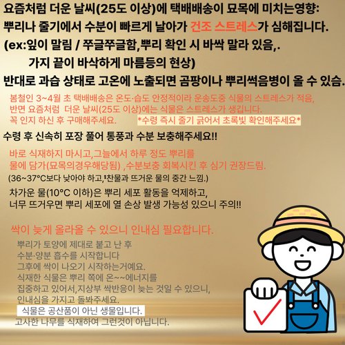 추가이미지