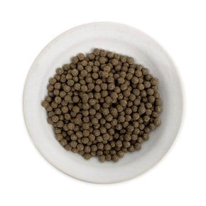 국산 천마환 200g 1통