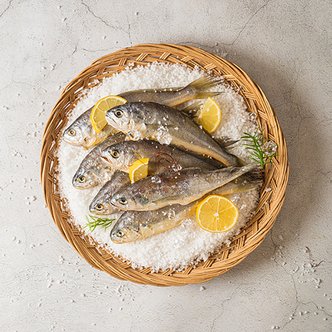 자연맛남 국내산 법성포 영광굴비 20마리 한두름 800g