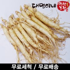 (세척) 원삼 10~13뿌리내외 250g/인삼 수삼 주스용 홍삼용 삼계탕용