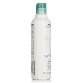 샴퓨어 두피 관리 샴푸 250ml