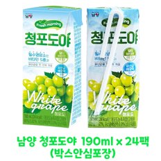 무료배송 남양 청포도야 190ml x 24팩(박스안심포장) 청포도주스혼합