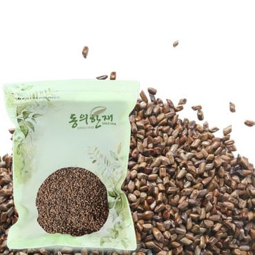 동의한재 국산 볶은 결명자 500g