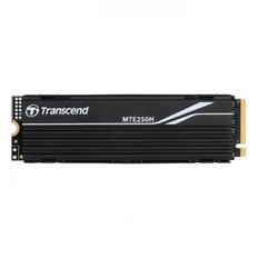 트랜센드 MTE250H M.2 NVMe (1TB)