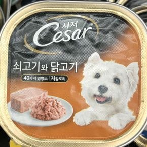 시저 애견간식 강아지간식 Cesar 쇠고기와 닭고기 애견 반려견 사료 100g X ( 2매입 )