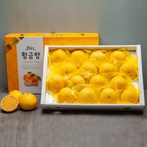 서귀포 현가원 황금향 5kg (16-20과, 실중량)