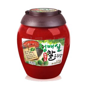 진미 청매실 찰고추장 4.5kg 2개