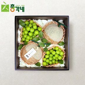 [총각네] 프리미엄 메론 샤인머스캣 혼합과일 선물세트 2호 4.5kg