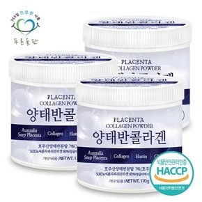 호주산 양태반 콜라겐 저분자 엘라스틴 분말 가루 haccp 인증 170gx3통