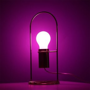 일광 8W 장식용 인테리어 전구 LED a60 색전구 pink 카페조명 예쁜 디자인램프