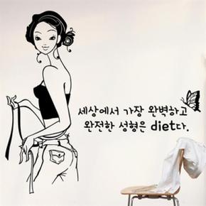 아트박스/낭만창고 idc317-세상에서 가장 완벽한 성형 diet