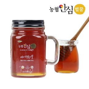 [9/10일(화) 오전8시 마감][바로배송][농협안심벌꿀] 야생화 꿀 500g x 2병