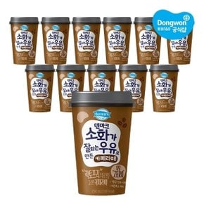 덴마크 소화가 잘되는 우유로 만든 카페라떼 250ml x 12개
