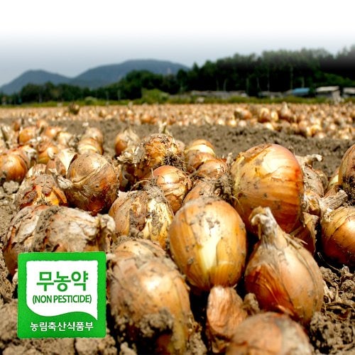 상품이미지5