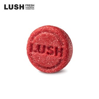 LUSH [백화점] 뉴 55g- 샴푸 바/고체 샴푸