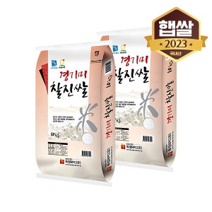 이쌀이다 [2023년산] 경기미 찰진쌀 20kg/상등급