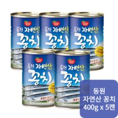 동원 자연산 꽁치 가정식 400g x5캔