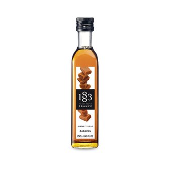  메가커피 1883 카라멜시럽 250ml