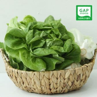  GAP인증 유럽 샐러드 채소 모듬 1kg