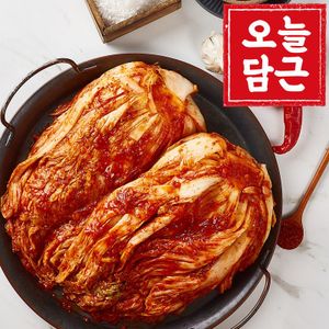 NS홈쇼핑 [오늘담근] 100% 국산재료 감칠맛 포기김치 10kg[30296567]