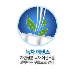 잇몸케어 고탄력 초미세모 그린티 칫솔 12입