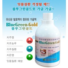 치주염 치주질환 예방 블루그린골드350ml2병/블루그린치약150g2개