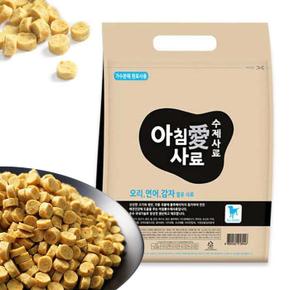 아침애 수제사료 오리 연어 감자 3kg (S11299093)