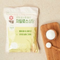 CJ백설 자일로스설탕(하얀) 1kg