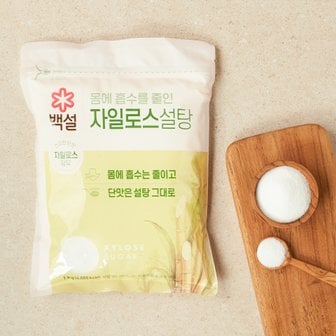 CJ제일제당 CJ백설 자일로스설탕(하얀) 1kg