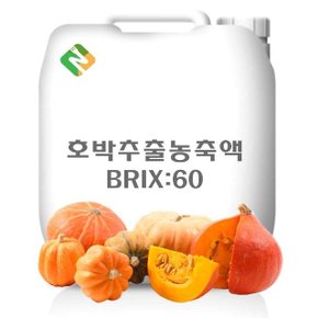 호박추출농축액 20kg (WCDBBF5)