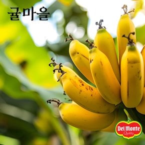 달콤한 델몬트 바나나 1.3kg 내외(1송이)