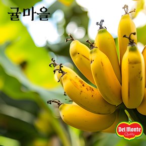 달콤한 델몬트 바나나 1.3kg 내외(1송이)